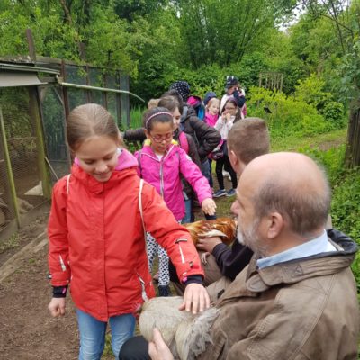 Mauese_Bild 16